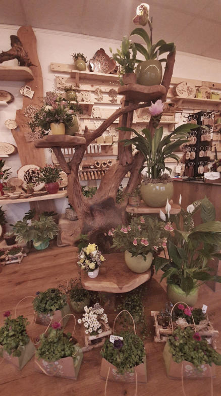 Blumeständer aus massiver Baumwurzel